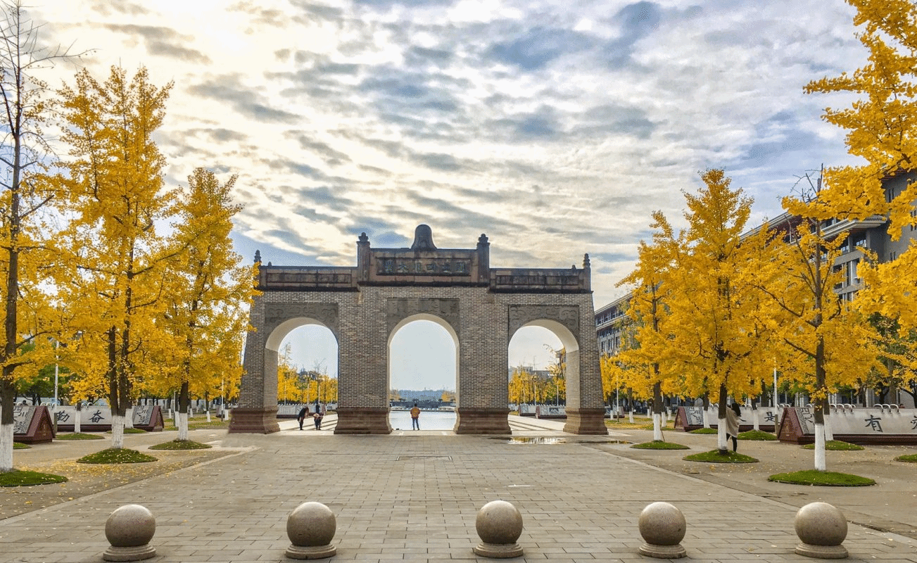 图集大美川大之银杏季